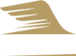 Логотип компании ШикCar