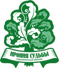 Логотип компании Ирония судьбы