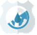 Логотип компании Защитные системы