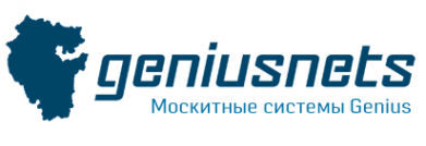 Логотип компании Geniusnets-Ufa
