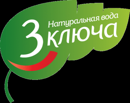 Логотип компании 3 Ключа