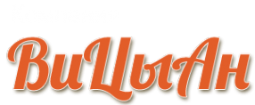 Логотип компании ВиЦыАн