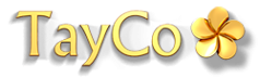 Логотип компании TayСo