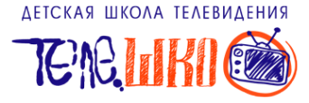 Логотип компании Телешко