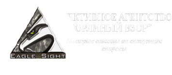 Логотип компании Орлиный взор