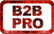 Логотип компании B2B PRO
