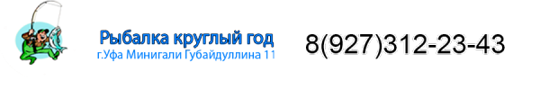 Логотип компании Рыбалка круглый год