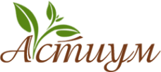 Логотип компании Астиум