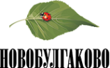 Логотип компании СтройВертикаль