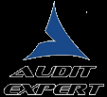 Логотип компании Аудит-Эксперт
