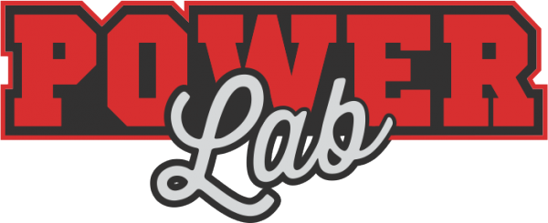 Логотип компании Лаборатория СИЛЫ