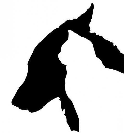 Логотип компании ЗООмаркет на ГАЛЛЕ