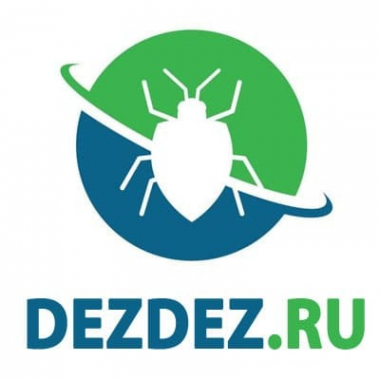 Логотип компании DezDez.ru Логотип компании DezDez.ru